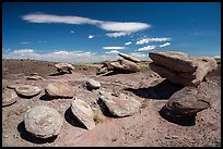 Concretion rocks, Painted Desert. Petrified Forest National Park ( color)