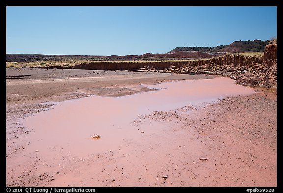 Water in Lithodendron Wash. Petrified Forest National Park (color)