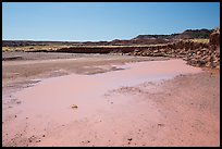 Water in Lithodendron Wash. Petrified Forest National Park ( color)