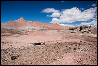 Badlands and petrified wood, Black Forest Wilderness. Petrified Forest National Park ( color)