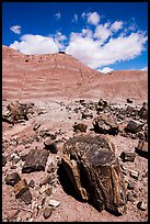 Black petrified wood and red Painted Desert badlands. Petrified Forest National Park ( color)