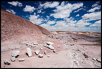 Concretions, Painted Desert badlands. Petrified Forest National Park ( color)