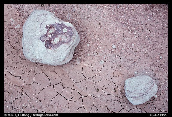 Ground view with concretions and red cracked mud. Petrified Forest National Park (color)