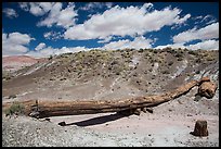 Onyx Bridge. Petrified Forest National Park ( color)