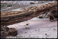 Natural bridge formed by petrified log. Petrified Forest National Park ( color)
