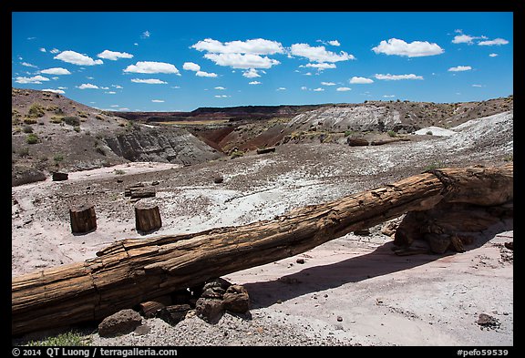 Onyx Bridge, petrified log spanning arroyo. Petrified Forest National Park (color)