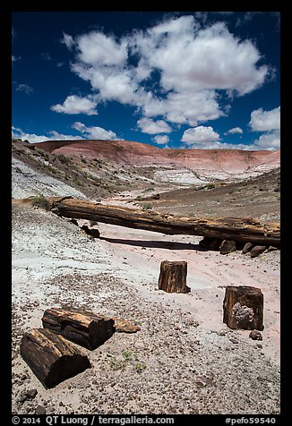 Black petrified wood and Onyx Bridge. Petrified Forest National Park (color)