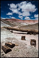 Black petrified wood and Onyx Bridge. Petrified Forest National Park ( color)