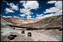 Black petrified wood, Onyx Bridge, Painted Desert. Petrified Forest National Park ( color)