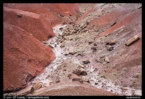 Red badlands filled with petrified wood, Black Forest Wilderness. Petrified Forest National Park (color)