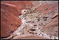 Red badlands filled with petrified wood, Black Forest Wilderness. Petrified Forest National Park ( color)