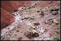 Petrified logs and iron oxide colored badlands. Petrified Forest National Park ( color)
