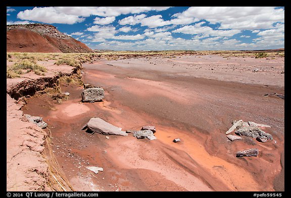 Lithodendron Wash, Black Forest Wilderness. Petrified Forest National Park (color)