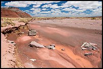 Lithodendron Wash, Black Forest Wilderness. Petrified Forest National Park ( color)