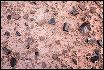 Ground view with black petrified wood. Petrified Forest National Park, Arizona, USA.