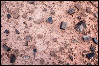 Ground view with black petrified wood. Petrified Forest National Park ( color)