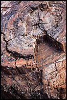 Close-up of black petrified log. Petrified Forest National Park ( color)