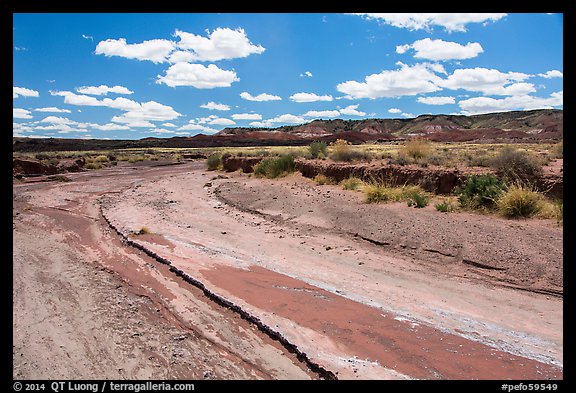 Dry desert wash. Petrified Forest National Park (color)