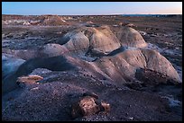 Badlands from Puerco Ridge, dusk. Petrified Forest National Park ( color)