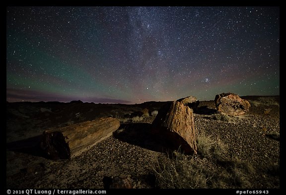 Petrified logs and stars. Petrified Forest National Park, Arizona, USA.