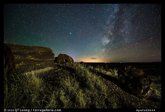 Petrified logs and Milky Way. Petrified Forest National Park, Arizona, USA.