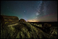 Petrified logs and Milky Way. Petrified Forest National Park ( color)