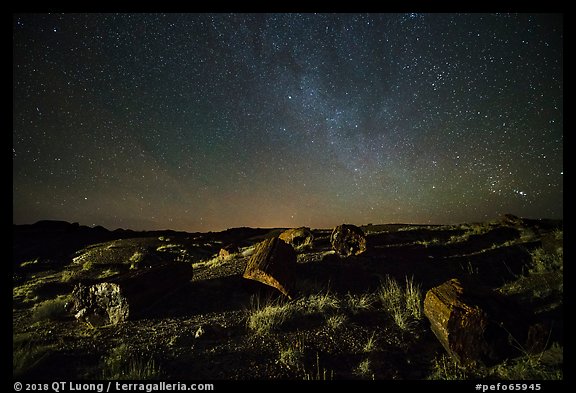 Petrified logs and stary sky at night. Petrified Forest National Park (color)