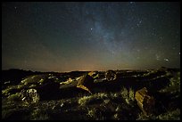 Petrified logs and stary sky at night. Petrified Forest National Park ( color)