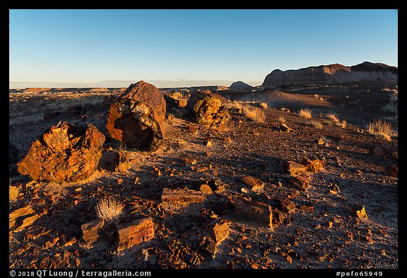 Petrified wood and badlands at sunrise, Longs Logs. Petrified Forest National Park (color)