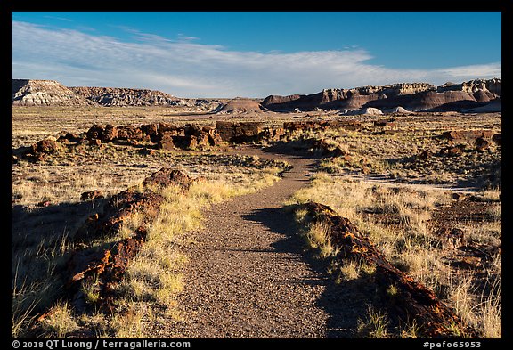 Trail, Longs Logs. Petrified Forest National Park, Arizona, USA.