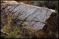 Petroglyphs, Puerco Pueblo. Petrified Forest National Park ( color)