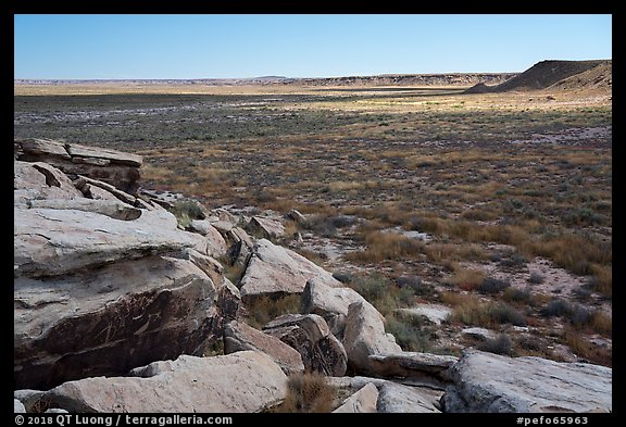 Petroglyphs on rocks overlooking plain, Puerco Pueblo. Petrified Forest National Park (color)