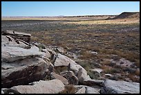 Petroglyphs on rocks overlooking plain, Puerco Pueblo. Petrified Forest National Park ( color)