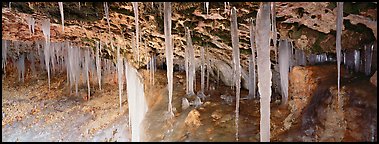 Ice stalactites under overhang. Bryce Canyon National Park (Panoramic color)