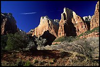 Court of the Patriarchs sandstone towers, morning. Zion National Park, Utah, USA.