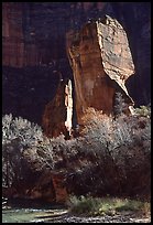 The Pulpit, Zion Canyon. Zion National Park, Utah, USA.