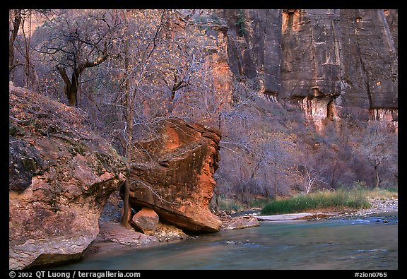 Virgin river at  entrance of the Narrows. Zion National Park, Utah, USA.