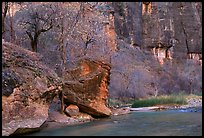 Virgin river at  entrance of the Narrows. Zion National Park, Utah, USA.