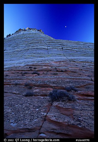 Checkerboard Mesa seen from base, Zion Plateau. Zion National Park, Utah, USA.