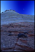 Checkerboard Mesa seen from base, Zion Plateau. Zion National Park, Utah, USA. (color)