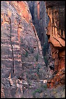 Canyon walls near Angel's landing. Zion National Park, Utah, USA.