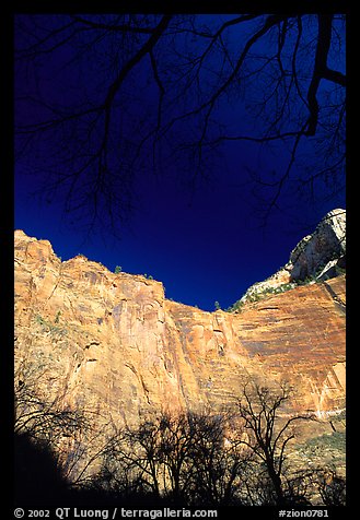 Temple of Sinawava. Zion National Park, Utah, USA.