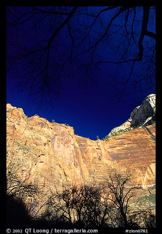 Temple of Sinawava. Zion National Park, Utah, USA.