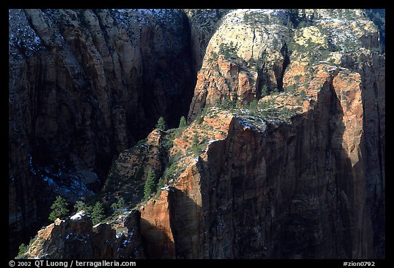 Cliffs seen from above near Angel's landing. Zion National Park (color)