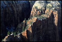 Cliffs seen from above near Angel's landing. Zion National Park, Utah, USA. (color)
