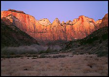 West temple view, sunrise. Zion National Park, Utah, USA. (color)