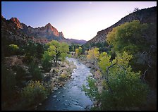 Virgin River and Watchman catching last sunrays of the day. Zion National Park, Utah, USA. (color)