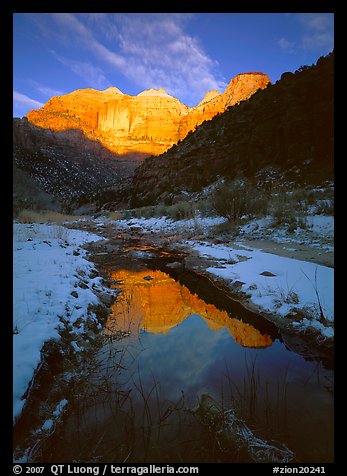 Pine Creek and Towers of  Virgin, sunrise. Zion National Park, Utah, USA.