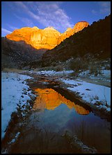 Pine Creek and Towers of  Virgin, sunrise. Zion National Park, Utah, USA.