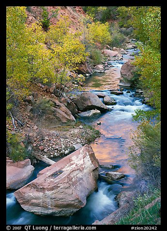 Boulders and Virgin River in  fall. Zion National Park, Utah, USA.
